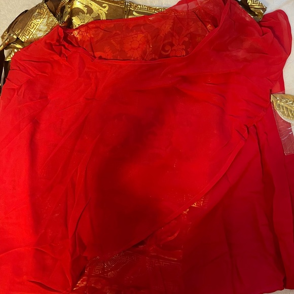 NWT Mens Julius Caesar Costume Size Large - Picture 7 of 12